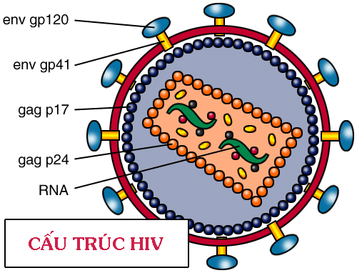  Cách phòng lây nhiễm bệnh HIV trong gia đình người có HIV