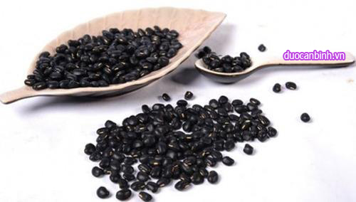 Hạt đậu đen chứa nhiều chất dinh dưỡng