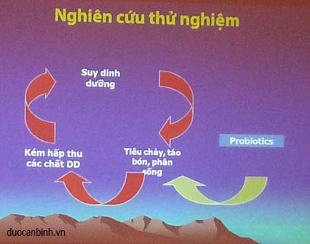 Vai trò của lợi khuẩn đối với cơ thể