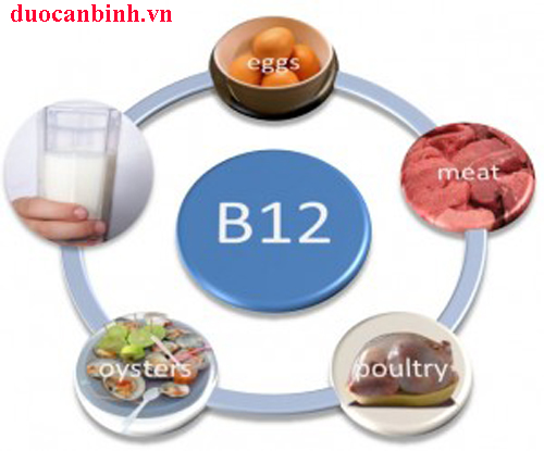 thieu-vitamin-B12
