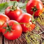 Cà chua giúp làm giảm cholesterol